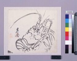 墨版 伊勢海老 / Black Print: A Spiny Lobster (Shibata Zeshin's Block Print, Black Print, Other Prints) image