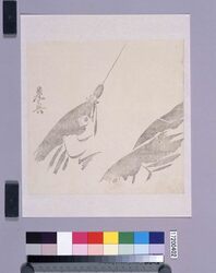 墨版 鰹 / Black Print: Bonitoes (Shibata Zeshin's Block Print, Black Print, Other Prints) image
