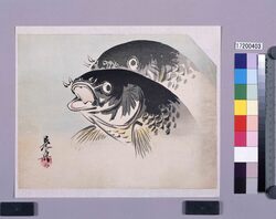 多色刷　鯉 / Multi-color Print: Carps (Shibata Zeshin's  Block Print, Black Print, Other Prints) image