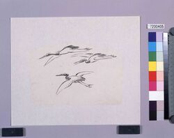 墨版　群鶴 / Black Print: A Flock of Cranes (Shibata Zeshin's  Block Print, Black Print, Other Prints) image