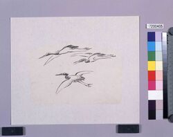 墨版 群鶴 / Black Print: A Flock of Cranes (Shibata Zeshin's Block Print, Black Print, Other Prints) image