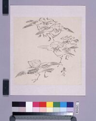 墨版　雀の笠踊り / Black Print: Sparrow’s Dance with Straw Hat(Shibata Zeshin's  Block Print, Black Print, Other Prints) image
