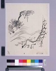 墨版　松 / Black Print: A Pine Tree (Shibata Zeshin's  Block Print, Black Print, Other Prints) image