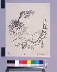 墨版 松 / Black Print: A Pine Tree (Shibata Zeshin's Block Print, Black Print, Other Prints) image