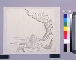 墨版 松 / Black Print: A Pine Tree (Shibata Zeshin's Block Print, Black Print, Other Prints) image