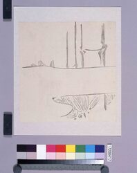 墨版 竹 / Black Print: Bamboo (Shibata Zeshin's Block Print, Black Print, Other Prints) image