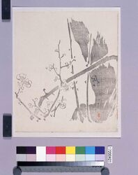 墨版 梅 / Black Print: Plum Flowers (Shibata Zeshin's Block Print, Black Print, Other Prints) image