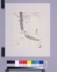墨版 桜と蝶 / Black Print: Cherry Blossom and a Batterfly (Shibata Zeshin's Block Print, Black Print, Other Prints) image