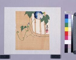 多色刷 窓辺の朝顔 / Multi-color Print: Morning Glories by the Window (Shibata Zeshin's Block Print, Black Print, Other Prints) image