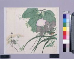 多色刷 秋草 / Multi-color Print: Autumn Flowers (Shibata Zeshin's Block Print, Black Print, Other Prints) image