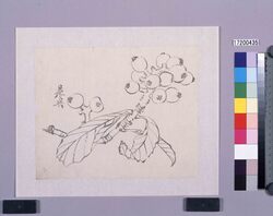 墨版 枇杷 / Black Print: Loquats (Shibata Zeshin's Block Print, Black Print, Other Prints) image