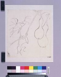 墨版 瓢箪 / Black Print: Gourds (Shibata Zeshin's Block Print, Black Print, Other Prints) image