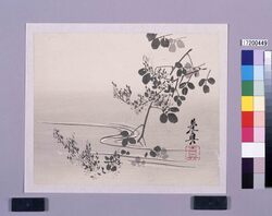 多色刷 萩と流水 / Multi-color Print: Bush Clover and Stream (Shibata Zeshin's Block Print, Black Print, Other Prints) image
