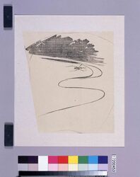墨版　水上のあめんぼ / Black Print: A Water Strider on the Water Surface (Shibata Zeshin's  Block Print, Black Print, Other Prints) image