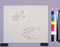 墨版貼交 酸漿、石榴 / Black Print Cutout Pictures: Chinese Lantern Plant, Pomegranate (Shibata Zeshin's Block Print, Black Print, Other Prints) image