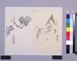 墨版　蔦（万吉）、寒牡丹 / Black Print: Ivy (Mankichi), a Winter Poeny (Shibata Zeshin's  Block Print, Black Print, Other Prints) image