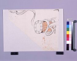 着色墨版 鼓 / Colored Black Print: Tsudumi (A Small Hand Drum) (Shibata Zeshin's Block Print, Black Print, Other Prints) image