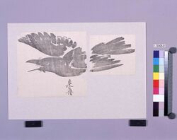 墨版 烏 / Black Print: Ravens (Shibata Zeshin's Block Print, Black Print, Other Prints) image