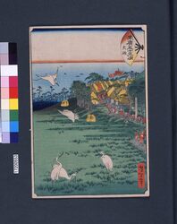 末広五十三次 大磯 / Suehiro 53-tsugi (Suehiro 53 Stations of Tokaido Road) : Oiso image