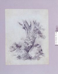 素描 　大きな樹木/素描 十字架磔刑 image