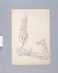 素描 人体解剖図 (腕/頭骨) image