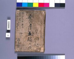 金草鞋 草稿 image
