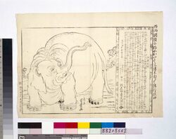 両国広小路興行 象之図 / Ryōgoku Hirokōji Show Illustration of an Elephant image