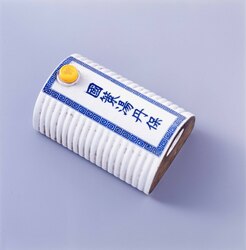 国策湯たんぽ / National Policy: Hot-water Bottle image