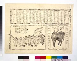 驢馬浅草観世奥山ニ於て興行仕候 image