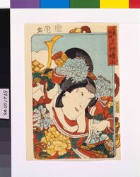 三櫓華の姿見　沢村曙山の八重垣姫  / Portraits of the Stars of the Three Theatres: SAWAMURA Shozan as Princess Yaegaki image