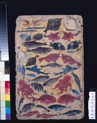 [さかなづくし] / [Sakana Zukushi (Fishes)] image