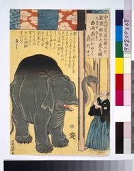 中天竺馬爾加国出史新渡舶来大象之図 / Illustration of a Large Elephant Born in Maruka, Central India image