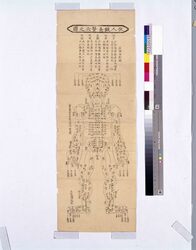 鍼灸禁穴之図 / Illustration of Forbidden Acupuncture Points image