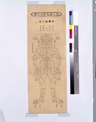 仰人鍼灸禁穴之図 / Illustration of Forbidden Acupuncture Points (Front) image