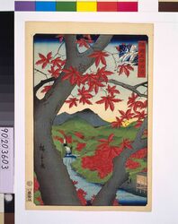 諸国名所百景 泉州牛滝丹楓 / One Hundred Views of Famous Places in the Provinces: Red Maples, Ushitaki, Senshu image