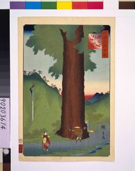 諸国名所百景 甲州矢立杉 / One Hundred Views of Famous Places in the Provinces: Yatate-matsu Cedar, Koshu image