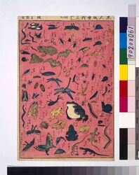 新板虫尽し / New Edition, Insects image