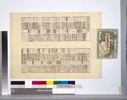 新吉原仮宅細見記 / Visitor's Guide to the Temporary Shin Yoshiwara District image