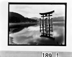 厳島神社の大鳥居 / The Grand Torii Gateway at Itsukushima Shrine image