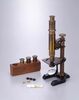 顕微鏡/Microscope image