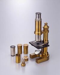 顕微鏡 / Microscope image