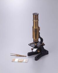 顕微鏡 / Microscope image