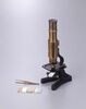顕微鏡/Microscope image