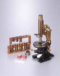 顕微鏡 / Microscope image