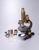 顕微鏡/Microscope image