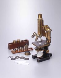 顕微鏡 / Microscope image
