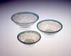 三ツ揃ガラス鉢/Three-piece Glass Bowl image