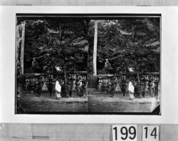 東大寺手向山神社 image