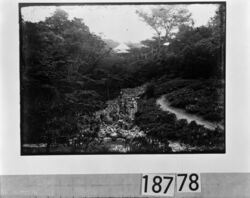 庭園の老人・舞子・芸者4人 / Elderly Man, Apprentice Geisha, and Four Geisha in a Garden image