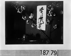 桜と書と髑髏 / Cherry Blossoms, Calligraphy, and a Skull image